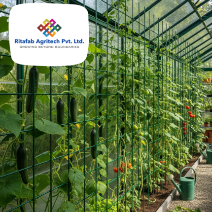 Complete Green House Trelis System