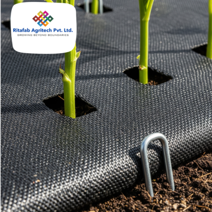 Weed Mat (Ground Cover) 100 GSM