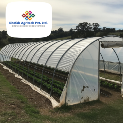 Low Cost Tunnel Type Polyhouse