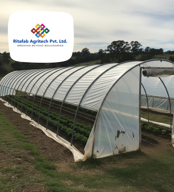 Low Cost Tunnel Type Polyhouse