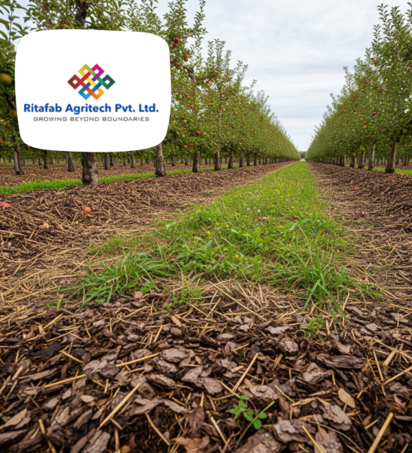 Orchard Mulch - Image 2