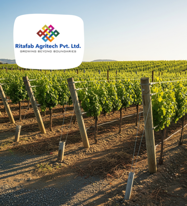 Complete Wine Yard Trelis System - Image 2