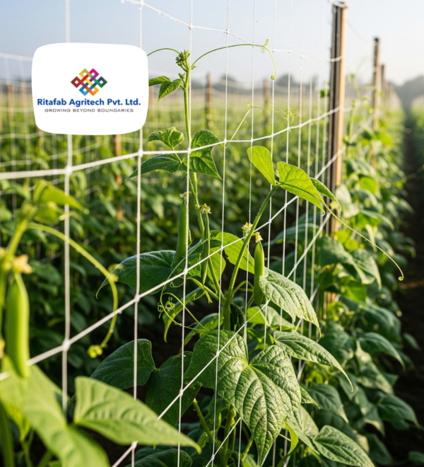 Crop Support Nets - Image 3