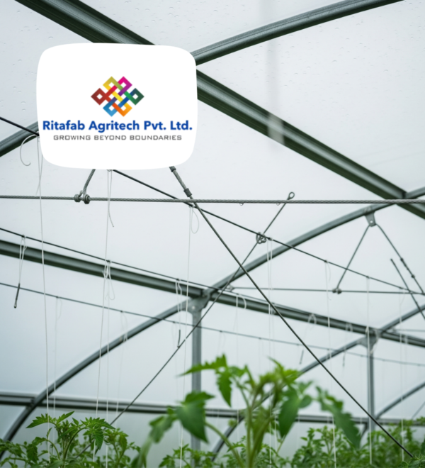 Cable Purlin Polyhouse - Image 2