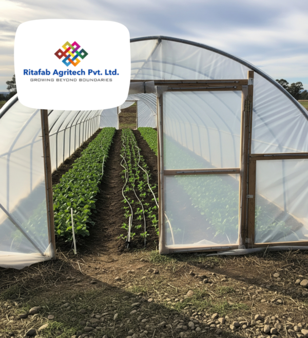Low Cost Tunnel Type Polyhouse - Image 2