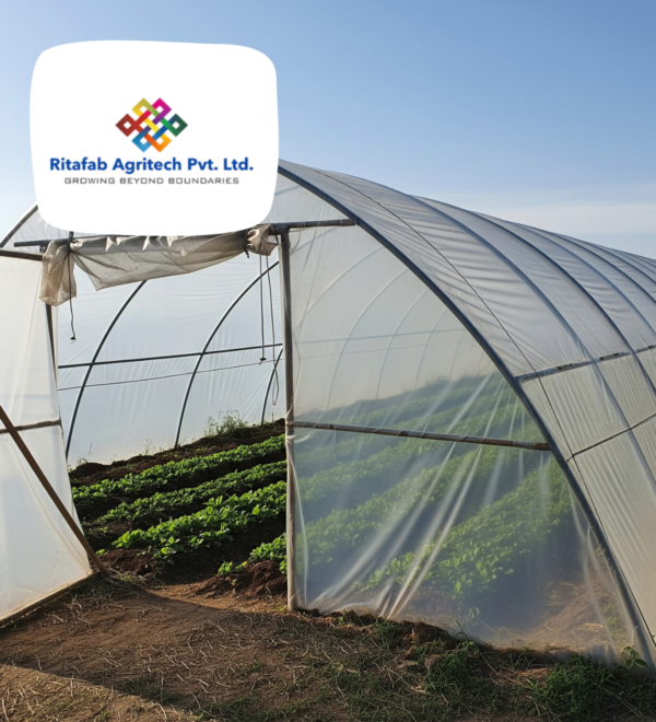 Low Cost Tunnel Type Polyhouse - Image 3