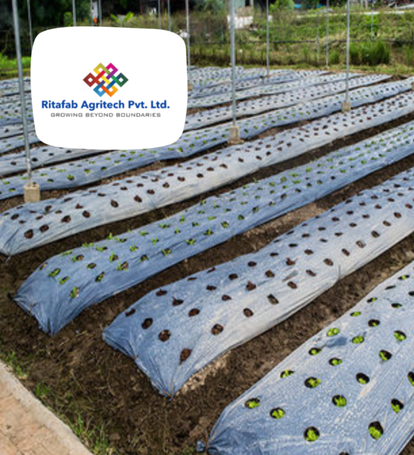 Hole Mulch - Image 3
