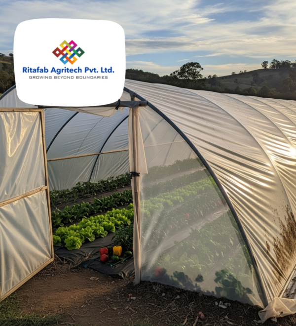 Low Cost Tunnel Type Polyhouse - Image 4