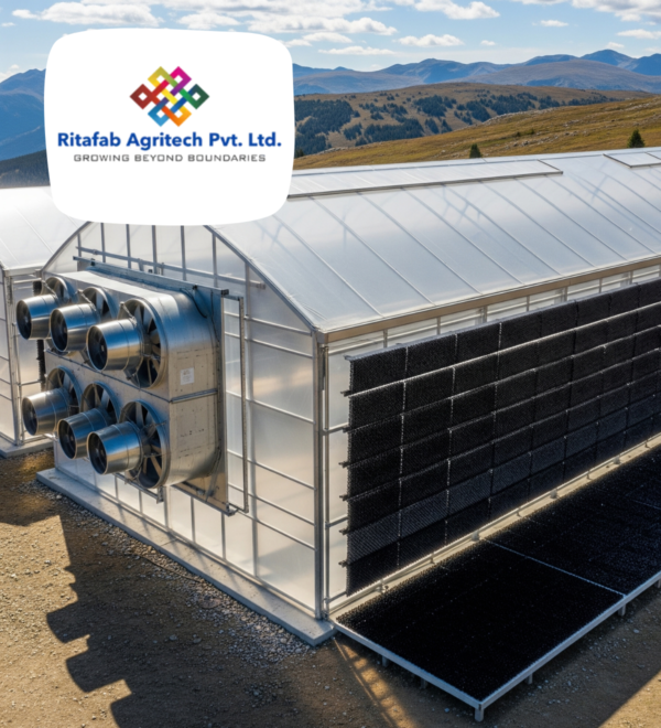 Hi Altitude Fan & Pad Polyhouse - Image 4
