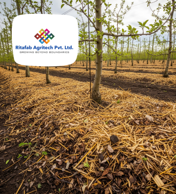 Orchard Mulch