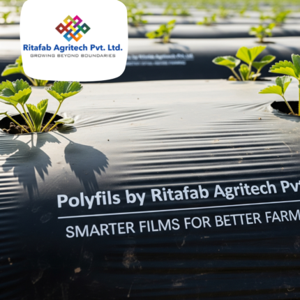 Polyfils