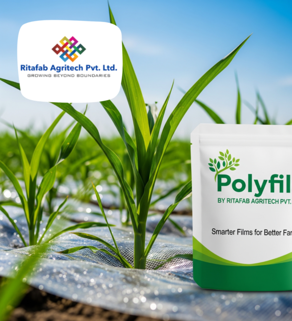 Polyfils - Image 3
