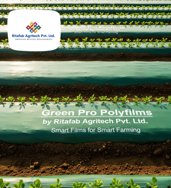 Green Pro Polyfilms - Image 3