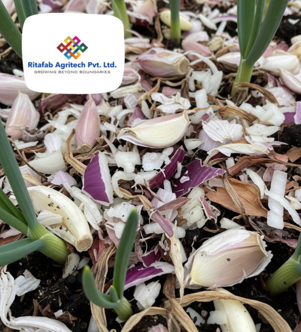 Onion/Garlic Mulch - Image 4