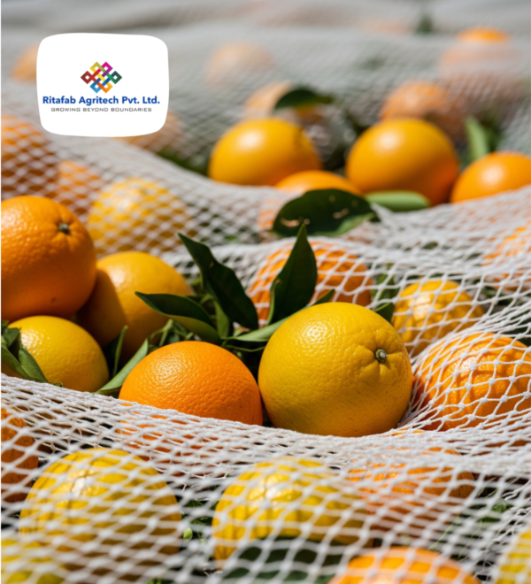 Fruit Harvest Net - Image 3