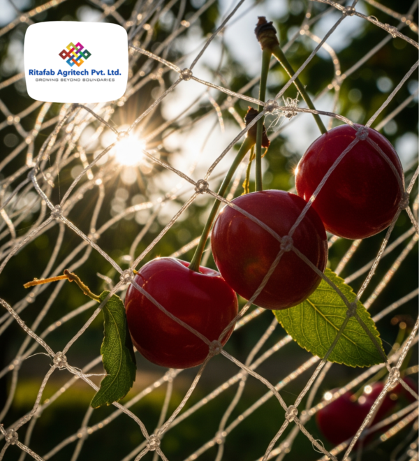 Fruit Harvest Net - Image 4