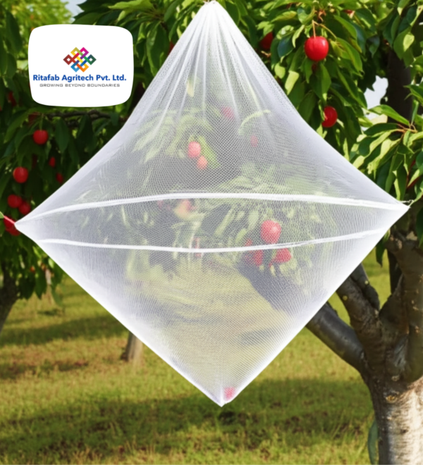 Fruit Harvest Net - Image 5