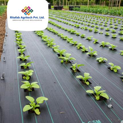 Weed Mat (Ground Cover)